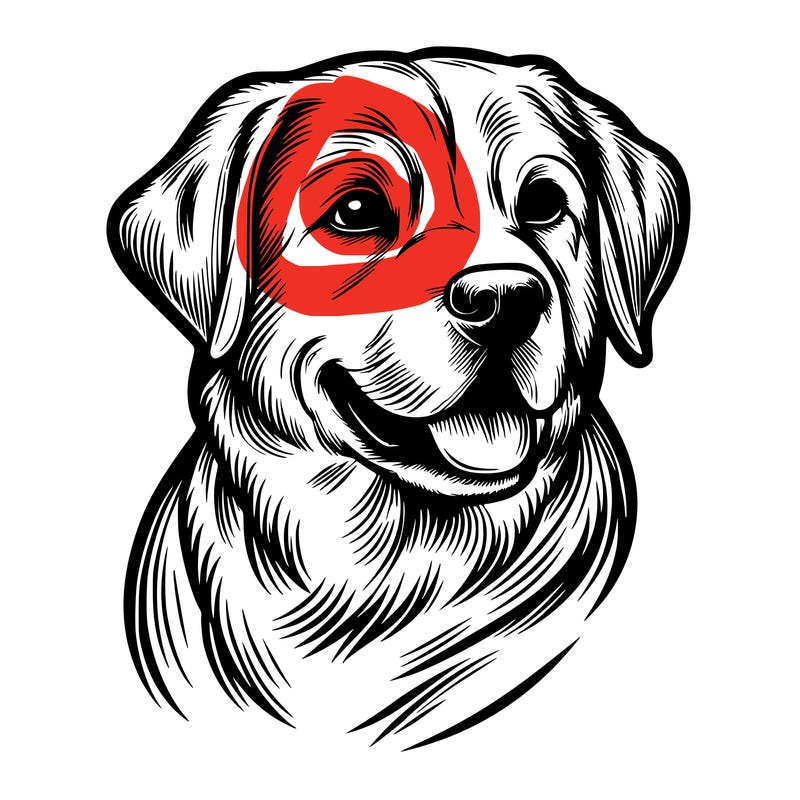 realistic dog