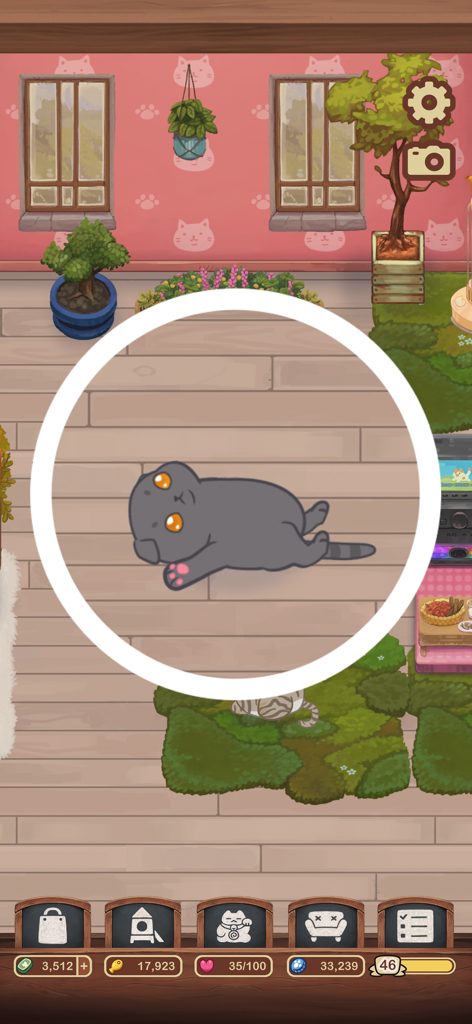 Furistas Cat Cafe - A grey cat lying on its back in a customized cafe room with pink walls and potted plants.