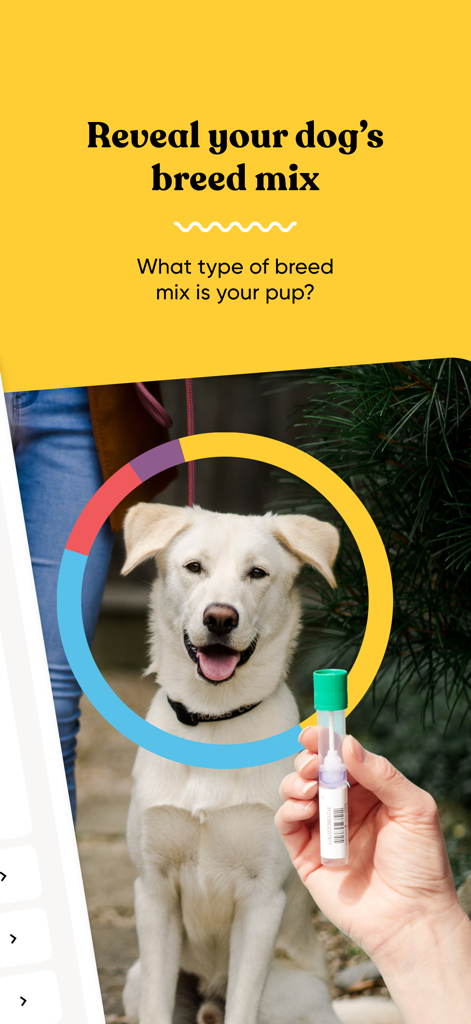 Embark Vet app screen displaying dog breed mix discovery and DNA test swab