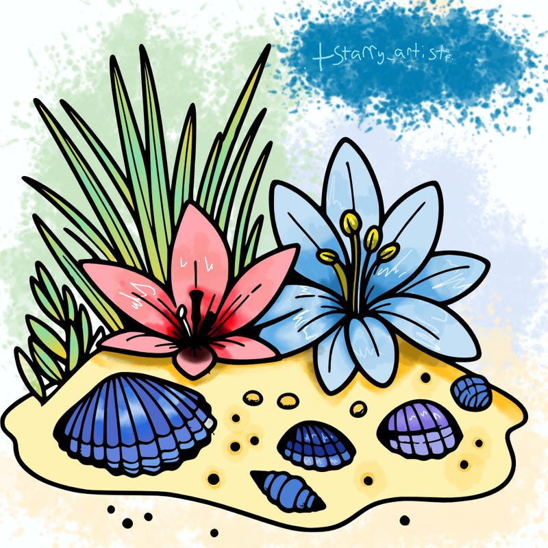 sand, lily, shells