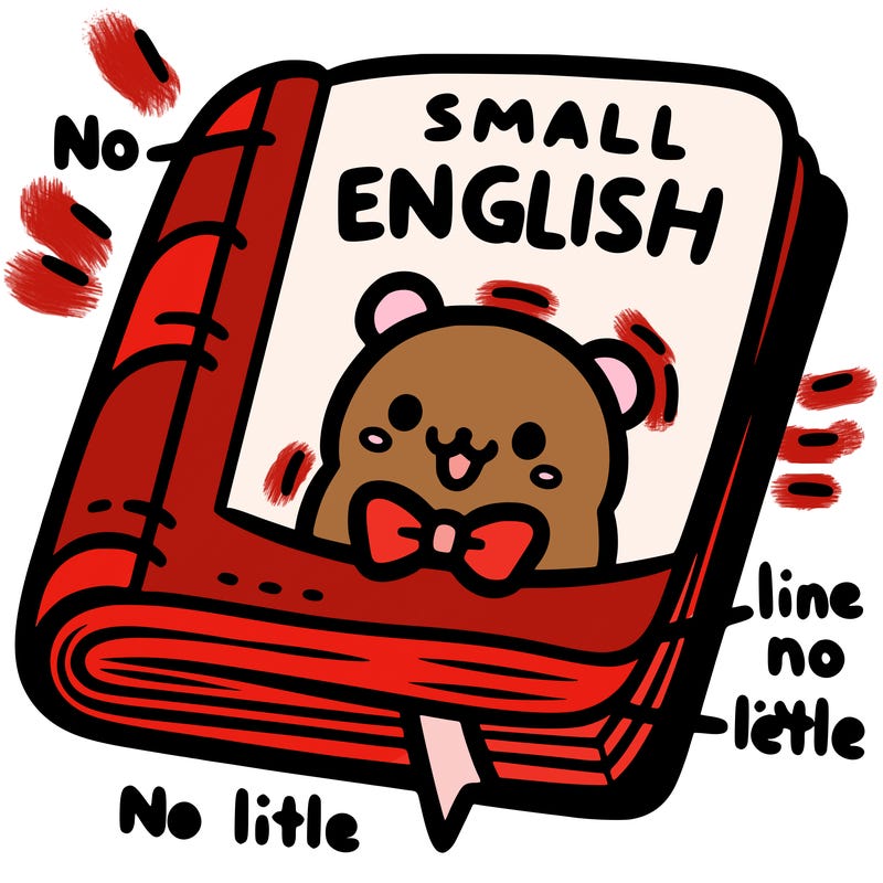 a small english book