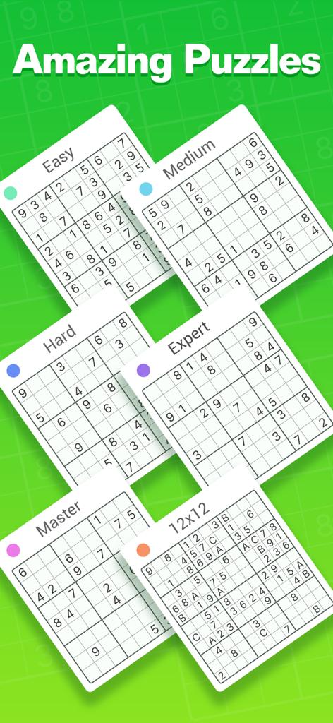A collection of Sudoku puzzles showing levels from easy to master and a 12x12 grid