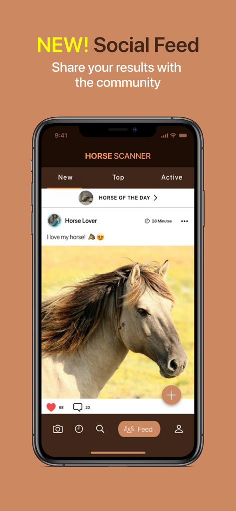 Pantalla de teléfono inteligente que muestra el feed social de la aplicación Horse Scanner donde los usuarios comparten y dan me gusta a fotos de caballos.