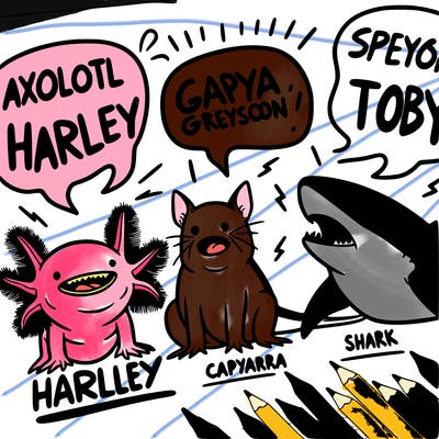 axolotl saying harley and a capybara saying greyson and a shark saying toby