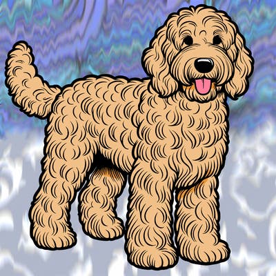 realistic labradoodle dog