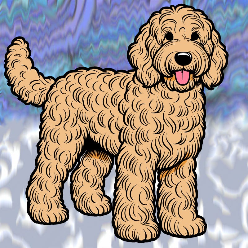 realistic labradoodle dog