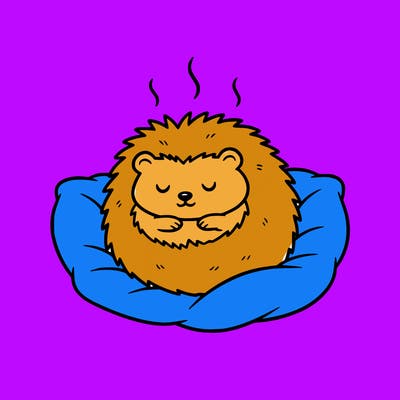 cozy hedgehog