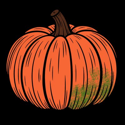 pumkin