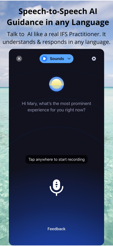 IFS Guide - Interface of the IFS Guide app featuring speech to speech AI guidance with a microphone icon for voice recording.