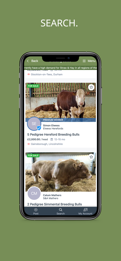 The search interface of the SellMyLivestock app displaying listings for pedigree breeding bulls.