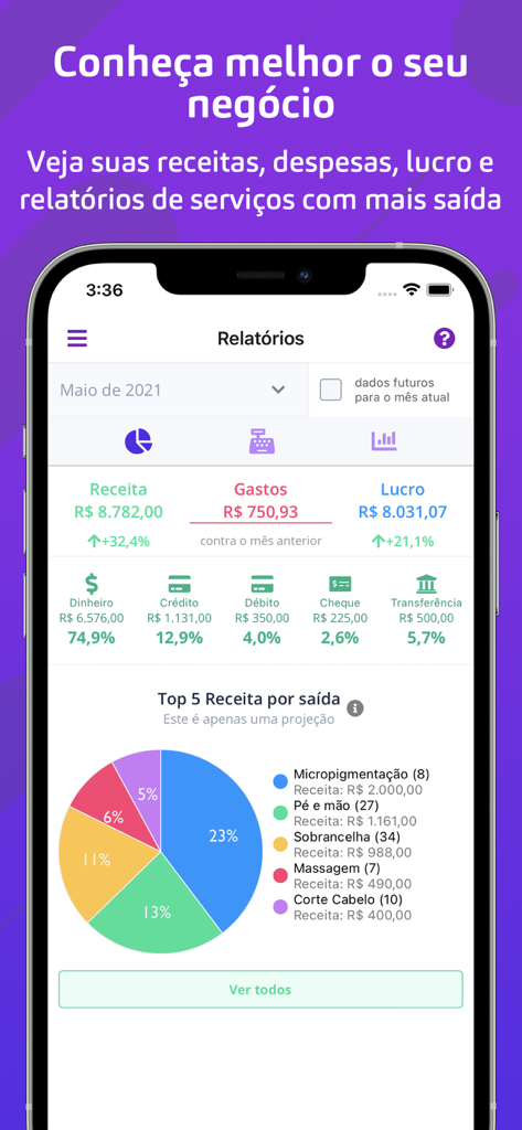 Minha Agenda pra profissionais - Dashboard showing business revenue expenses and profit reports for professionals