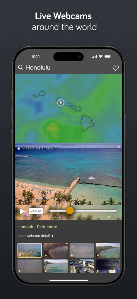 Windy weather app live webcam interface showing a beach view in Honolulu