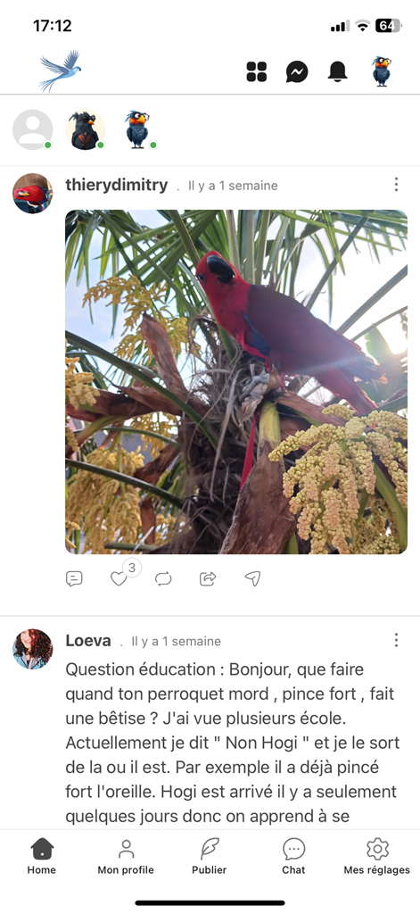 Oiseaux2France - Mobile app interface of Oiseaux2France showing a social media feed with a red parrot photo and a birdwatching community discussion