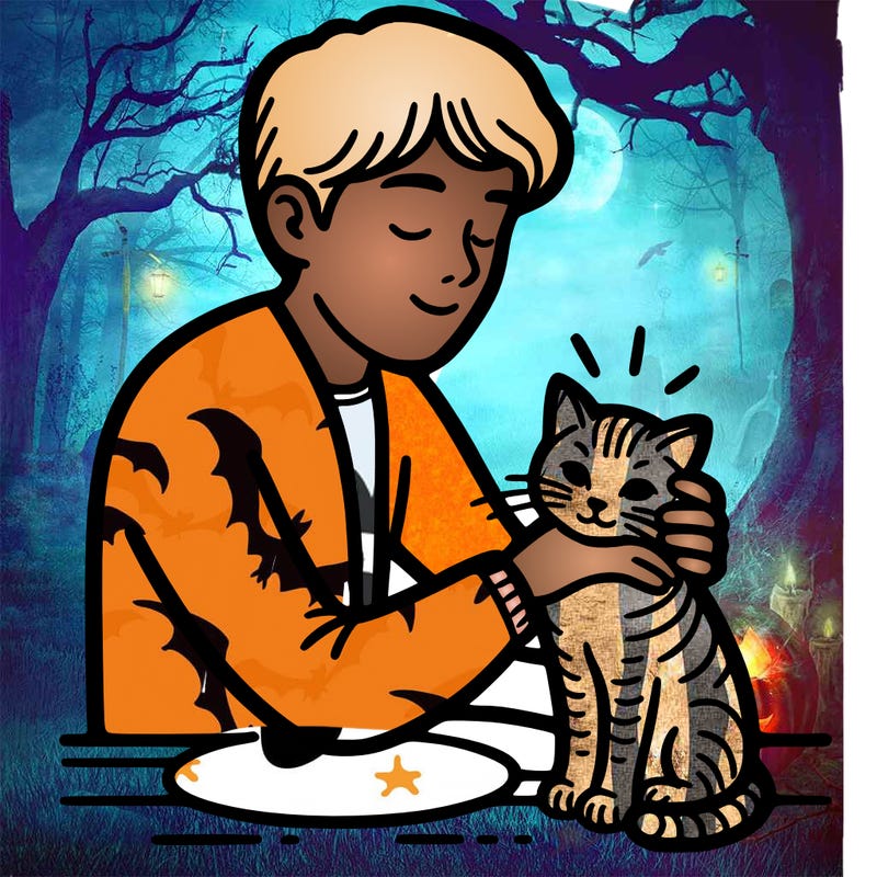 a human petting a cat