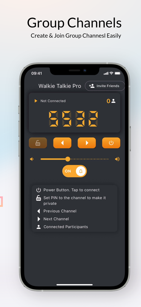 Group Talks: Walkie Talkie Pro - Interface of the Walkie Talkie Pro app showing group channel settings and privacy options on an iPhone.