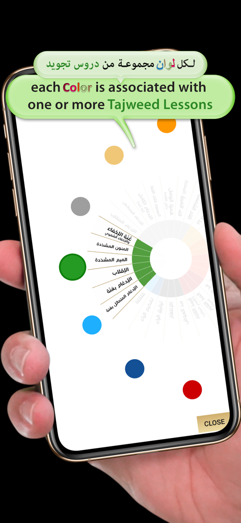 Quran University - Interface of the Quran University app showing color-coded Tajweed lessons for easier learning.