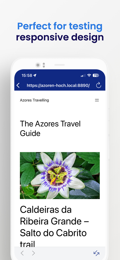 MAMP Viewer - MAMP Viewer mostrando una vista previa web móvil responsiva de un sitio web local en un iPhone