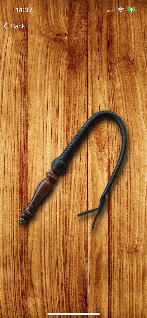 Virtual black braided whip with a wooden handle on a wood background