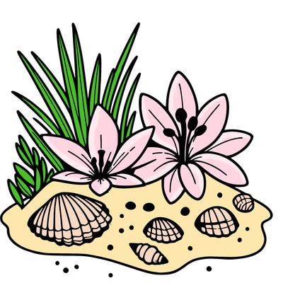 sand, lily, shells