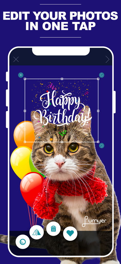 Lumyer:After Effects,Videoleap - Lumyer app interface showing a photo edit of a cat with birthday balloons and text