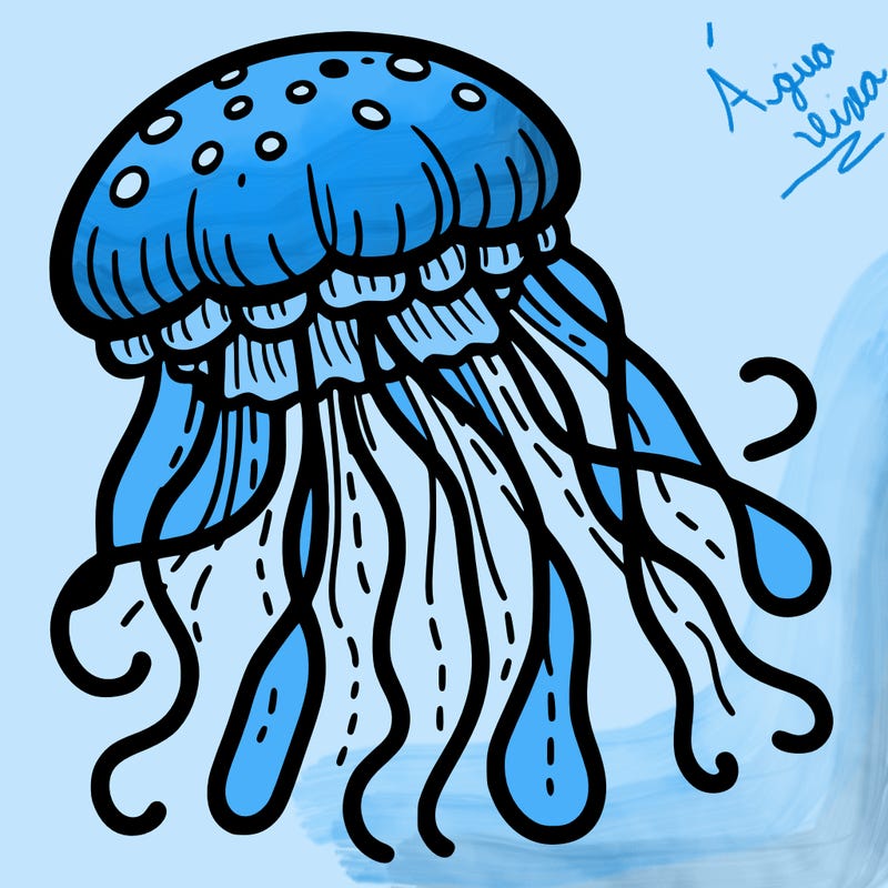 jellyfish