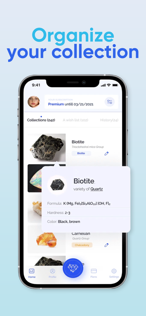 Interface of the Rock Identifier app showing an organized digital collection of minerals including Biotite and Carnelian with detailed specifications