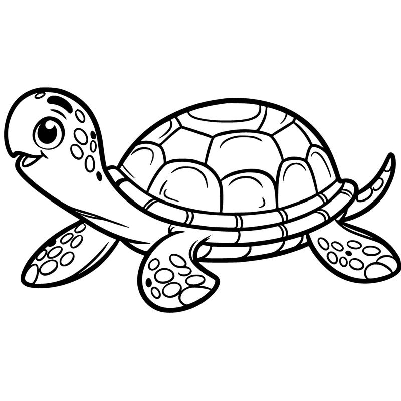 turtle