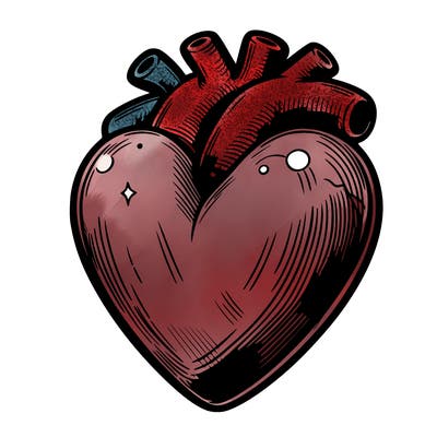 realistic heart