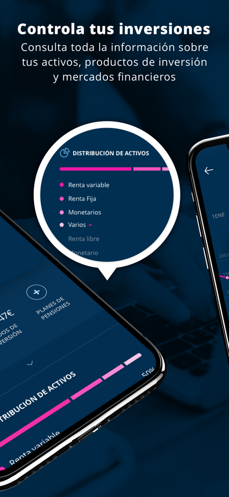 Mutuactivos - Interfaz de la aplicación móvil Mutuactivos que muestra un desglose detallado de la distribución de activos de inversión