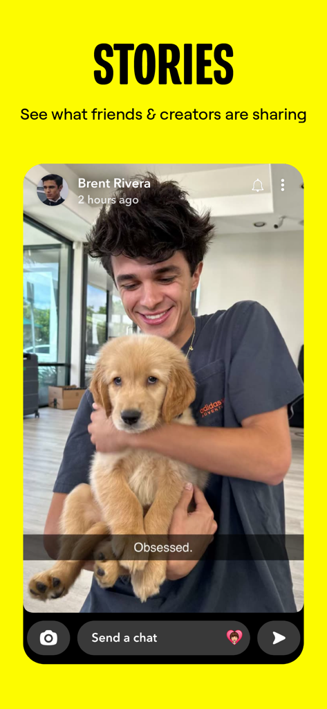 Snapchat app screenshot showing the Stories feature with a creator holding a puppy