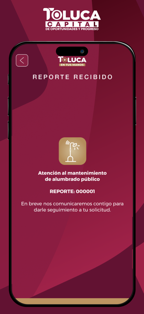 Toluca en tus manos - Screenshot of Toluca en tus manos app showing a confirmation for a public lighting maintenance report received