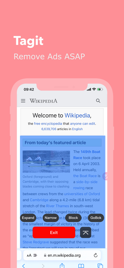 Addons - Scripts & Adblock - Interface of the Tagit feature in the Addons app allowing users to manually block elements and ads on a mobile webpage
