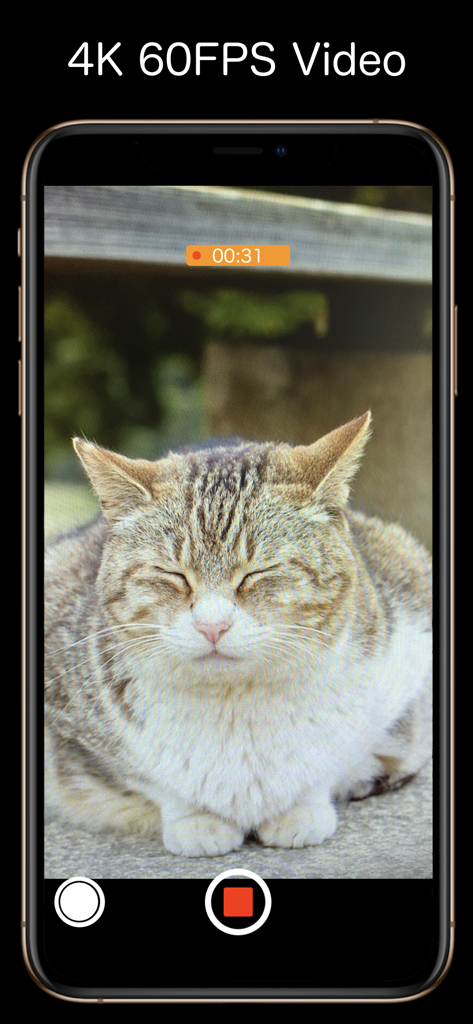 The Simple Camera - The Simple Camera app interface recording a 4K 60FPS video of a sleeping cat with a minimalist design.