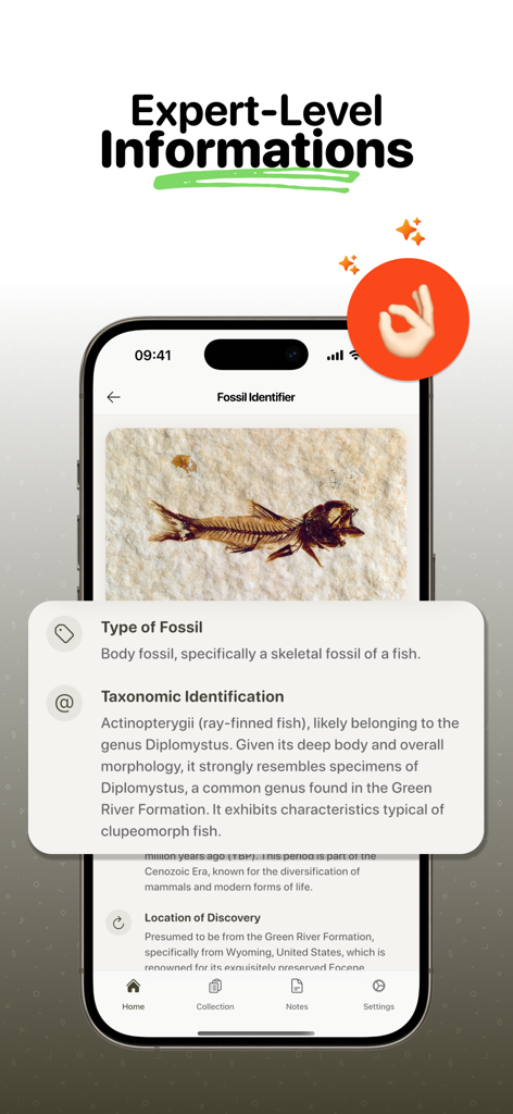 Fossil Identifier: Scan Fossil - A mobile screen showing expert fossil identification of a prehistoric fish with taxonomic details and discovery location