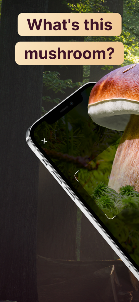 AI Mushroom Identifier App - 森の中のキノコを識別するためにAIを使用しているスマートフォン