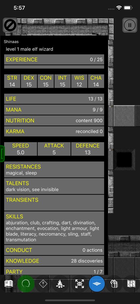 Pathos: Nethack Codex - Pathos Nethack Codexのエルフウィザードのキャラクター統計画面。属性とスキルが表示されている