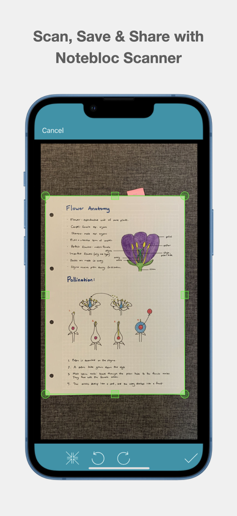 Notebloc Scanner - Scan to PDF - Smartphone screen using Notebloc Scanner to digitize handwritten biology notes with green crop markers