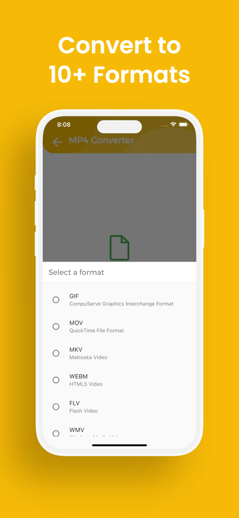 Interfaz de la aplicación MP4 Converter mostrando opciones de selección de formato como GIF, MOV y MKV