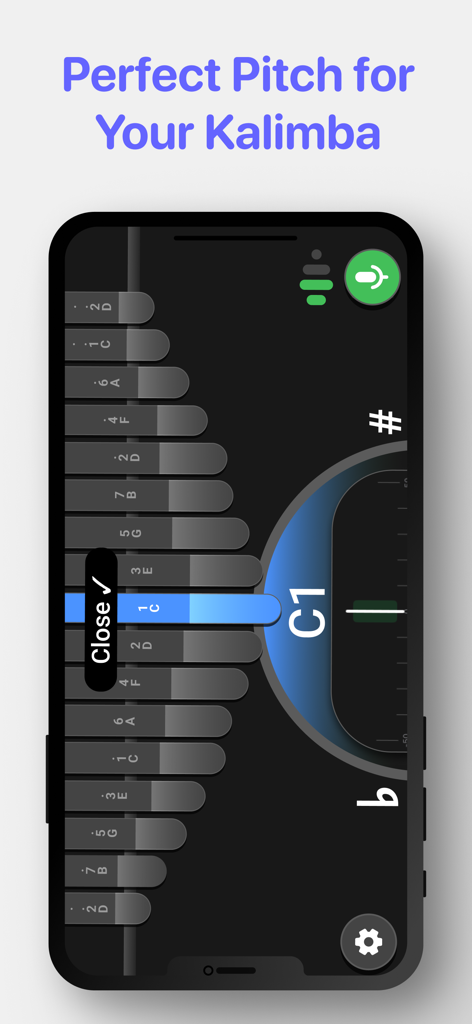 Tunelimba app interface showing a visual tuner for a kalimba instrument