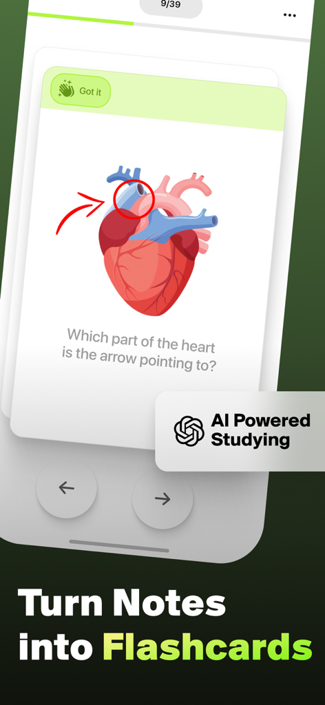 Flashy: Flashcards Maker - A biology flashcard of a human heart displayed in the Flashy app showing AI powered studying features