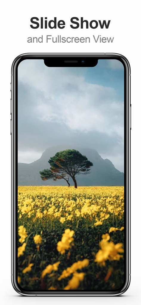 MultiTab for Tumblr app displaying a landscape photo in fullscreen slideshow mode on a smartphone