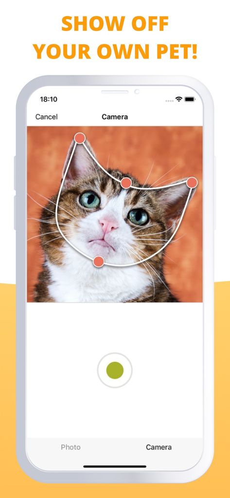 My Talking Animal & Pet App - Toppy app interface showing facial recognition technology mapping a cat face from a photo