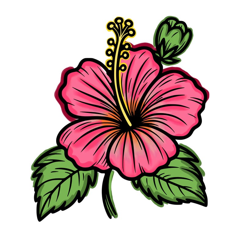 hibiscus flower