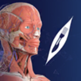 3D Organon - App Icon