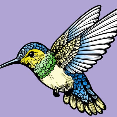 hummingbird realistic