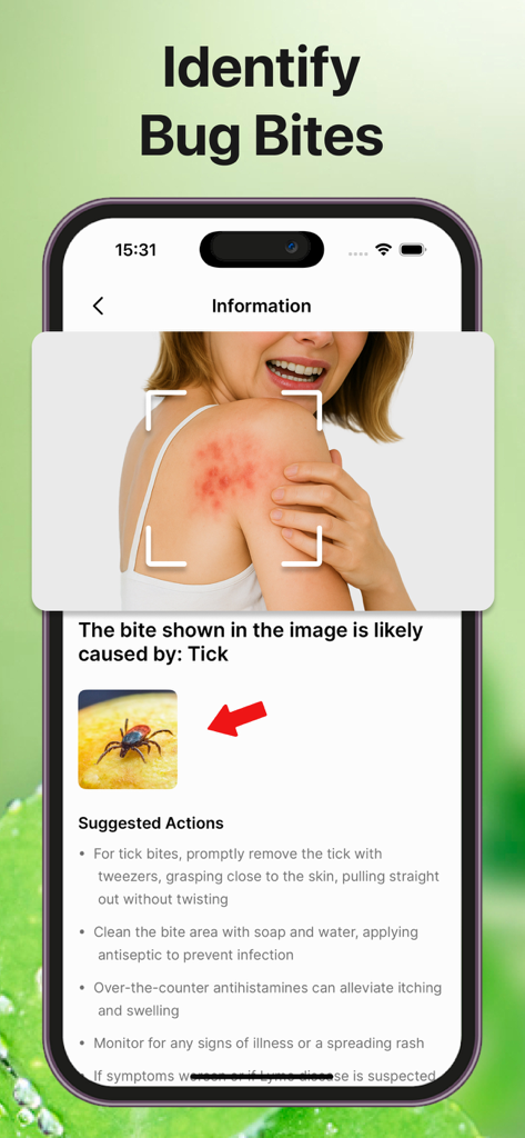 Insect identification app scanning a skin rash to identify a tick bite