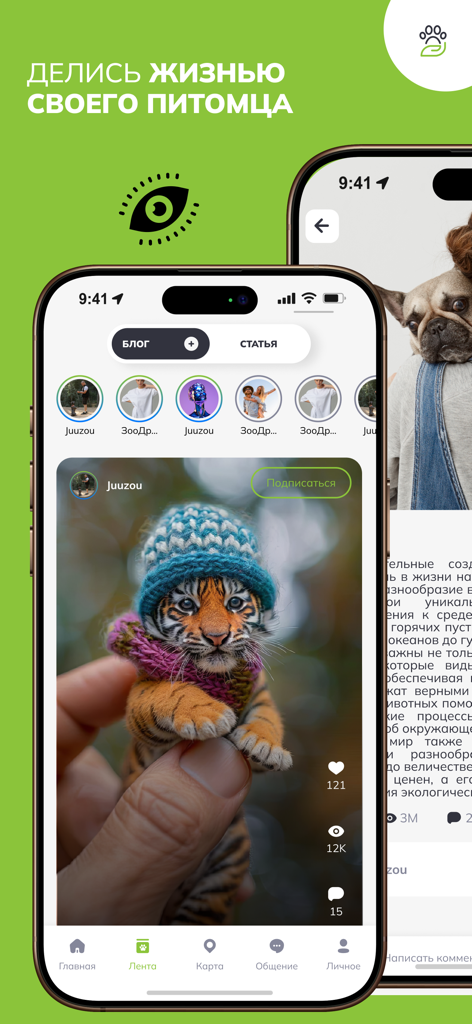 ЗооКлик: счастливый питомец - Smartphone-Bildschirm mit der ZooClick-App Social Feed, der einen Haustiervlog mit einem Tigerjungen zeigt