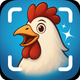 Chicken Identifier: AI Scan