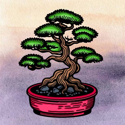 japan bonsai