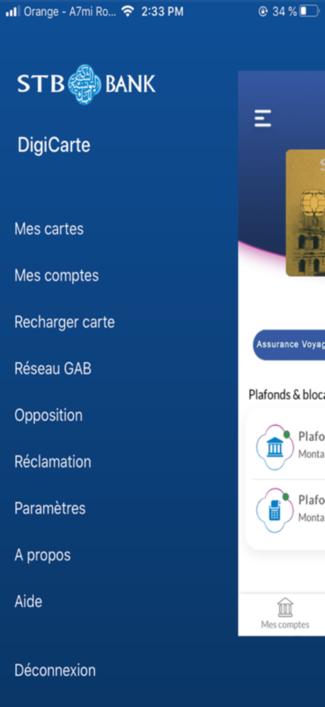 DigiCarte - Menu di navigazione laterale dell'app mobile DigiCarte di STB Bank con opzioni per la gestione di carte e conti